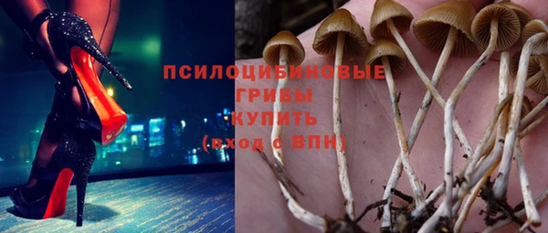синтетический гашиш Алексеевка